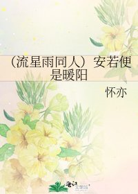（流星雨同人）安若便是暖陽